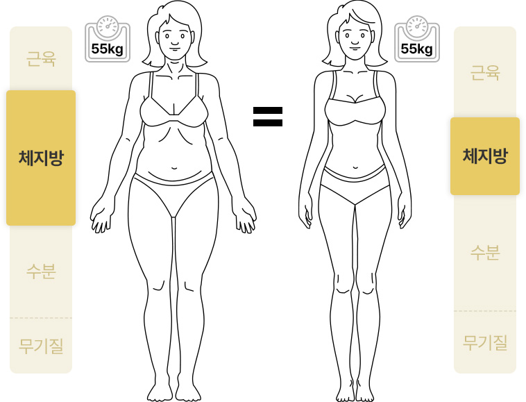 지방분해주사 원더핏주사(바디) 