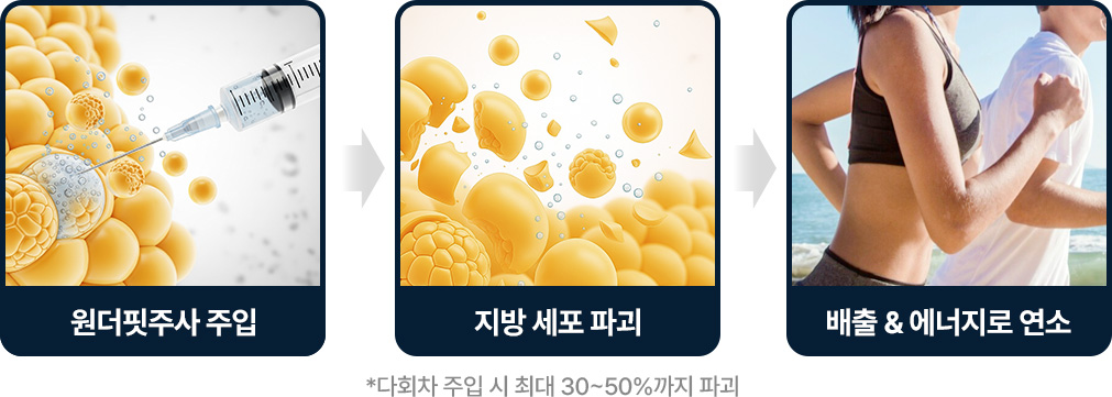  지방분해주사 원더핏주사(바디) 지방세포 파괴 배출 에너지로 연소