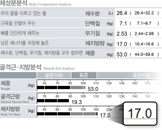 원더핏주사(바디) 지방분해주사