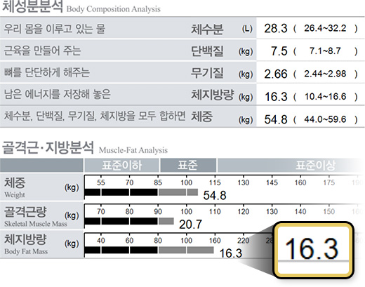 원더핏주사(바디) 지방분해주사 시술 후 후기 인바디 체지방 16.3