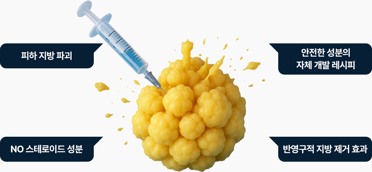 원더풀 원더핏주사 지방분해주사 피하지방파괴 no스테로이드 안전한 성분 자체개발 레시피 반영구적 지방제거