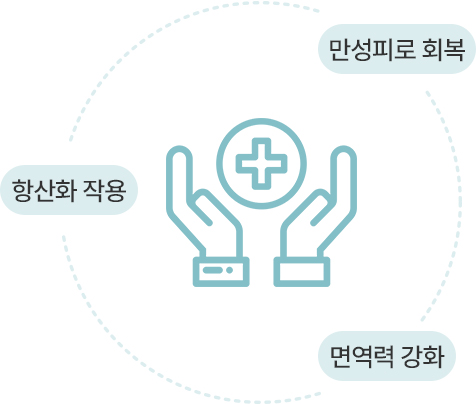 원더풀 수액 클리닉 마늘주사 피로 회복 면역력 강화