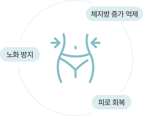 원더풀 수액 클리닉 신데렐라주사 체지방 증가억제 노화방지