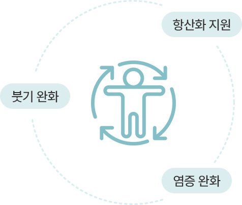 원더풀 수액 클리닉 붓기수액 붓기완화 염증완화 항산화지원