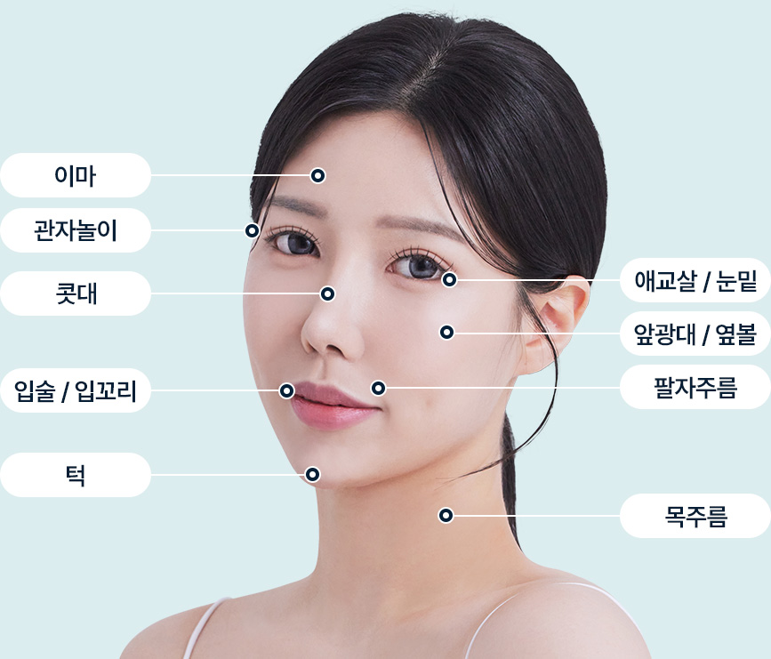 필러 시술부위 이마 관자놀이 콧대 입술 입꼬리 턱 애교살 눈밑 앞광대 옆볼 팔자주름 목주름