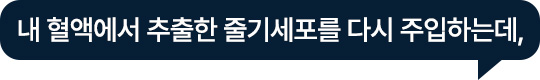 내 혈액에서 추출한 줄기세포를 다시 주입하는데