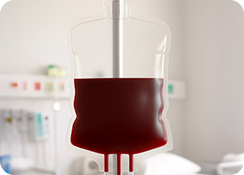 원더풀 줄기세포