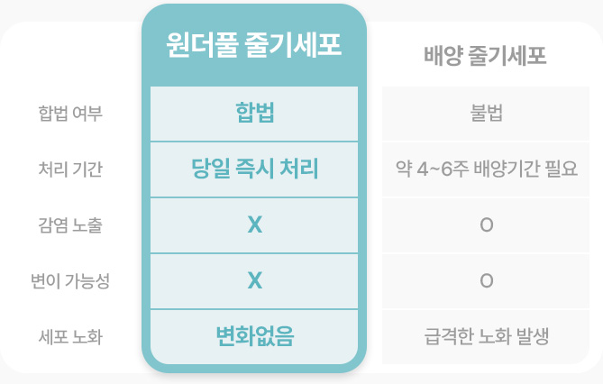 원더풀 줄기세포 합법 당일 즉시처리기간 세포노화 변화없음